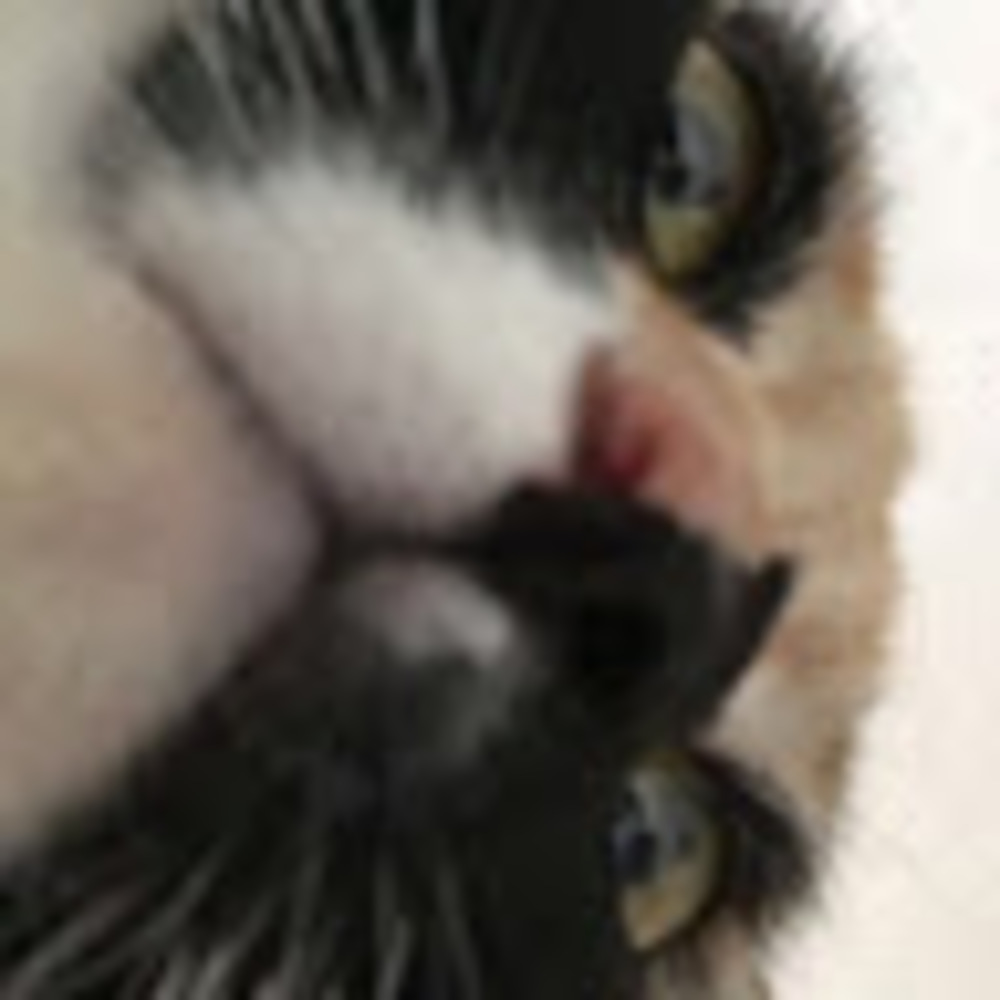 Meet your Posher, Idaly